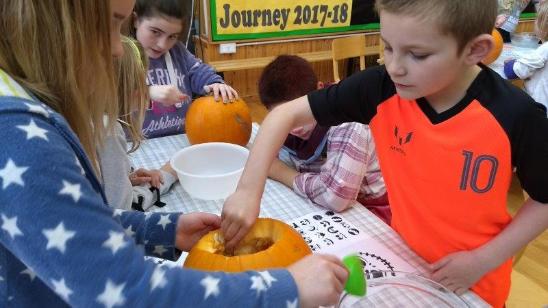 IMG_20171031_135101707_BURST000_COVER_TOP